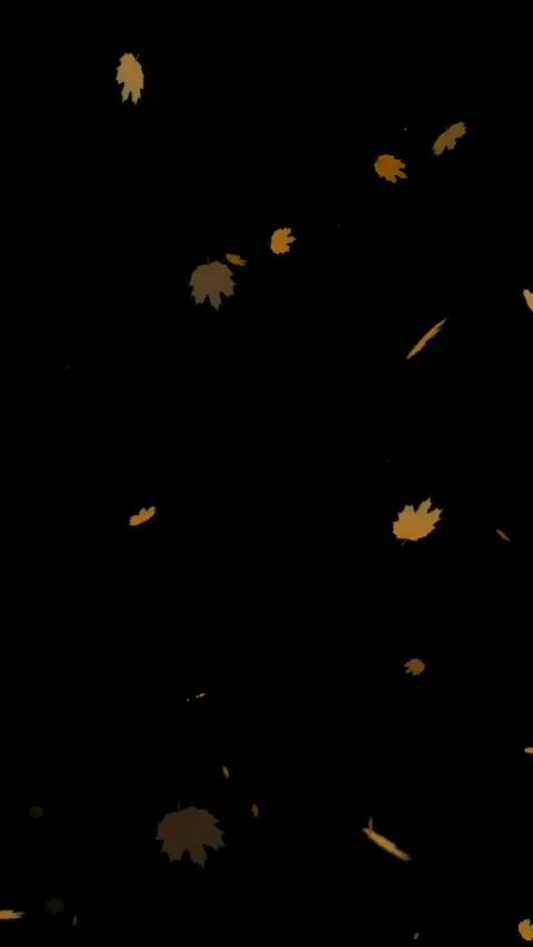 Falling Autumn Leaf, Autumn maple leaves falling animation overlay on Alpha.. Stock Footage 279150047