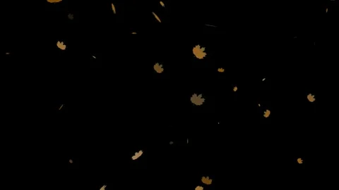 Falling Autumn Leaf, Autumn maple leaves falling animation overlay on Alpha.. Stock Footage 316801132