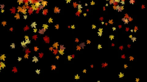Falling Autumn Leaves background Stock Footage 39018191