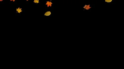 Falling autumn leaves backgrounds Vídeo Stock 96299426