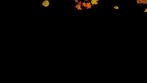 Falling autumn leaves backgrounds Stock Footage 96301158