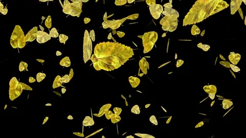Falling Autumn Leaves on Black Background – Loop Animation Stock Footage 333388616