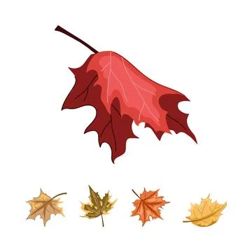 Falling autumn leaves creating a vibrant seasonal design Stock Illustration