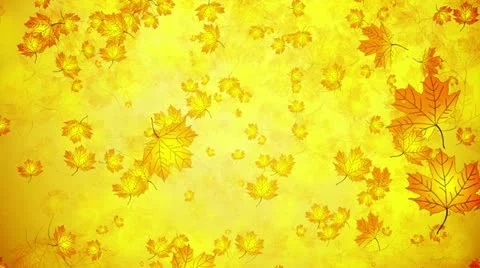 Falling autumn leaves Stock Footage 11863343