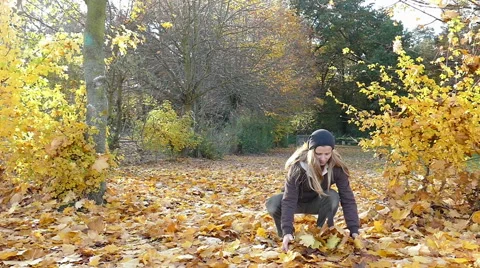 Falling autumn leaves Stock Footage 56591334