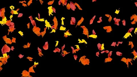 Falling autumn leaves Video stock 82800380