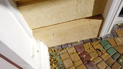 Falling autumn leaves Video stock 139435108