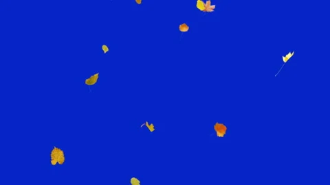 Falling Autumn Leaves Stock Footage 143561794