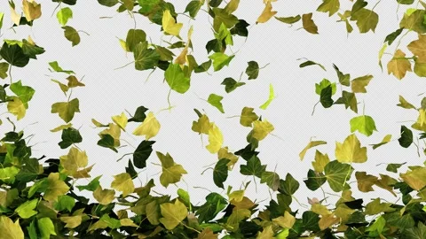 Falling autumn leaves Video stock 162605704