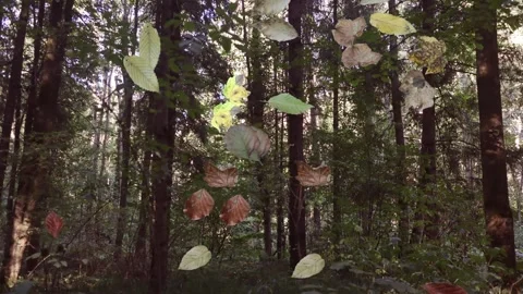 Falling autumn leaves in the forest, realistic nature Background 库存影片 283565946