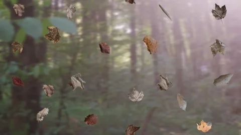 Falling autumn leaves in the forest, realistic nature Background 库存影片 283565959