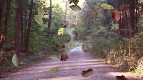 Falling autumn leaves in the forest, realistic nature Background 库存影片 283639993