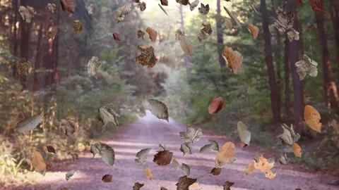 Falling autumn leaves in the forest, realistic nature Background 库存影片 283640016
