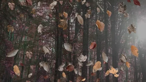 Falling autumn leaves in the forest, realistic nature Background 库存影片 283640017