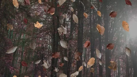 Falling autumn leaves in the forest, realistic nature Background 库存影片 283640021