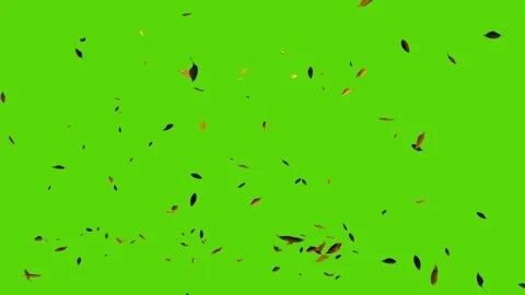 Falling autumn leaves on a green background Stock Footage 285667799