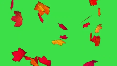 Falling autumn leaves on green screen background for seasonal nature video proje Stock Footage 329964536