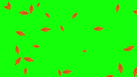 Falling Autumn Leaves on Green Screen Background Stock Footage 341806466