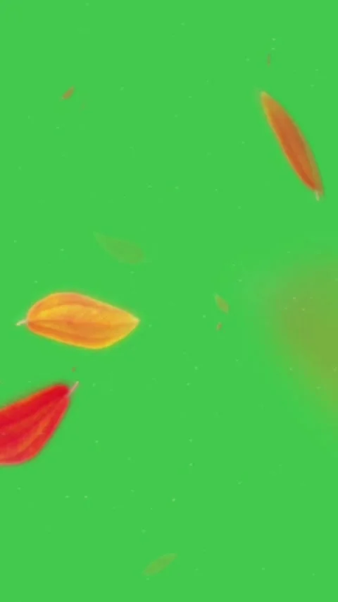 Falling Autumn Leaves Green Screen Vertical Stock-Footage 344766528