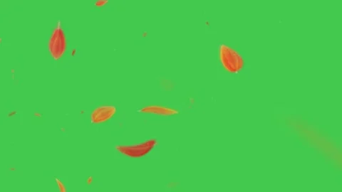 Falling Autumn Leaves Green Screen Widescreen Stock-Footage 344766540