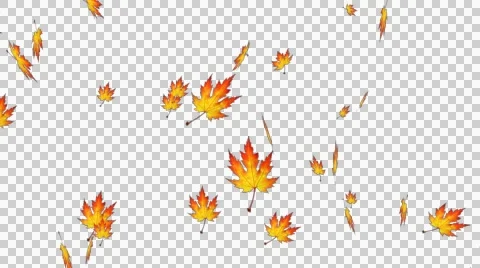 Falling autumn leaves loop Video stock 54718652
