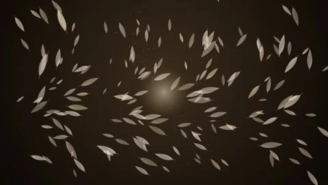Falling Autumn Leaves Loop - Soft Light Brown Nature Ambience Backdrop Video stock 341786820