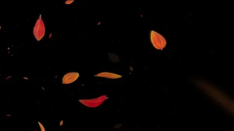 Falling Autumn Leaves Motion Overlay Widescreen Stock-Footage 344766517