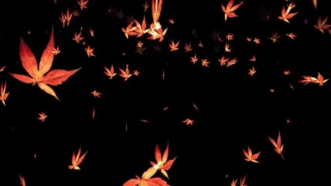 Falling autumn leaves over black background. Overlay -4k Seamless Loop Stock Footage 265121384