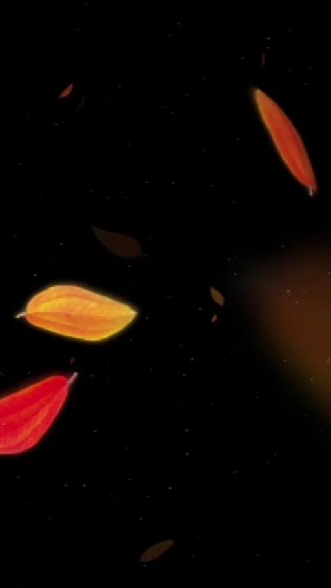Falling Autumn Leaves Overlay Vertical Stock-Footage 344766527