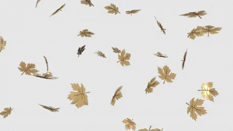 Falling autumn leaves on a transparent alpha channel background on a seamless Stock Footage 212662911