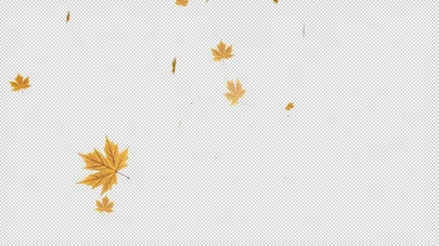 Falling autumn leaves on a transparent background, large and small, spread upwar Vídeos de archivo 321020071