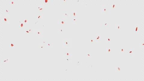 Falling Autumn Leaves (Transparent Background MOV) Stock Footage 332457237