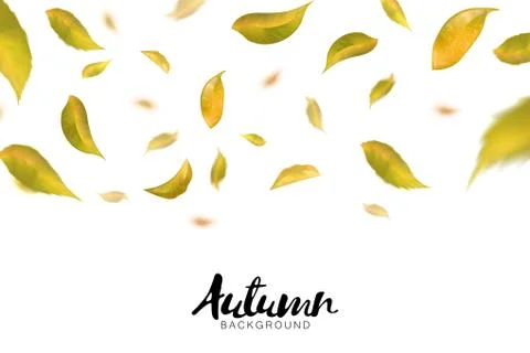 Falling autumn leaves on white background. Vector Stock Illustration