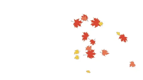 Falling autumn maple leaves Vídeo Stock 164112171