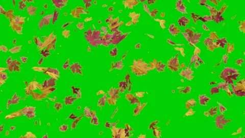 Falling autumn maple leaves. Perfect CG seamless loop. Stock Footage 132929376