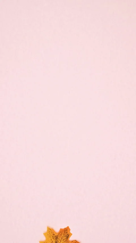Falling Autumn yellow leaf on flat lay pastel pink background. Stop motion Stock Footage 283265962
