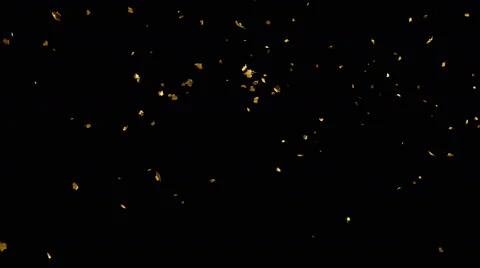 Falling autumn yellow leaves from top in slow motion Stock Footage 66730406