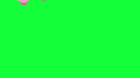  falling bank pigs group animation green screen chroma key Stock Footage 129178761