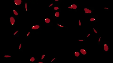 Falling big rose petals Loop isolated with an alpha channel Stock Footage 255658846