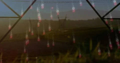 Falling binary code digits streaming over grassy field at dusk, with lattice Stock Photos