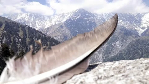Falling bird feather, mountain Stock Footage 154759746