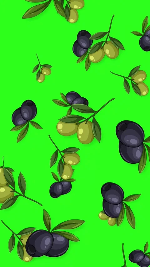 Falling Black and Green Olive Branches on Green Screen Background Stock Footage 345314469