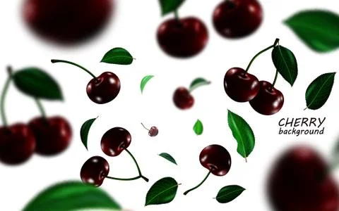 Falling black cherries elements, realistic cherry background on white in 3d イラスト素材