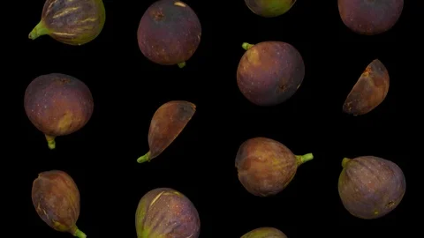 Falling Black Figs on Black Background (Looping) Stock Footage 95098036