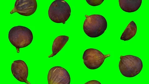 Falling Black Figs on Green Background (Looping) Stock Footage 95097973
