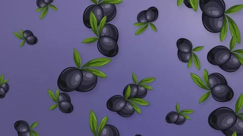 Falling Black Olives and Green Leaves on Purple Mesh Background Stock Footage 342467991