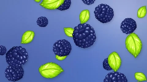Falling Blackberries and Green Mint Leaves on Blue Background Animation Stock Footage 344851015