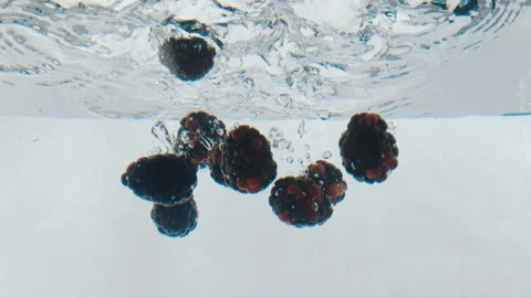 Falling blackberries in an aquarium in slow motion 120 fps Stock Footage 101943969