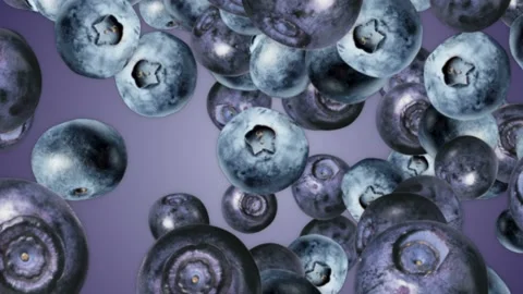 Falling BLACKBERRIES Background, Loop,  Animation, Rendering, with Alpha Matte Video stock 197403727