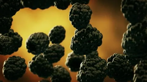 Falling blackberries slow motion Video stock 21645187